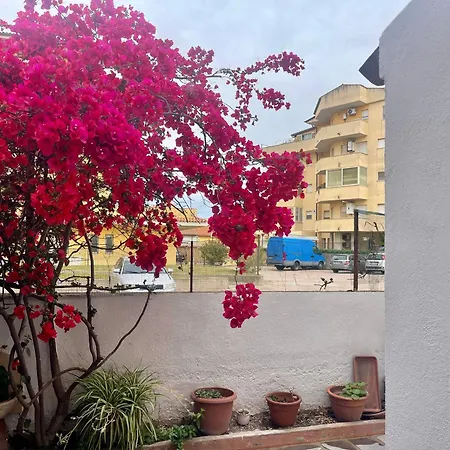 Le Calle Homes * أولبيا
