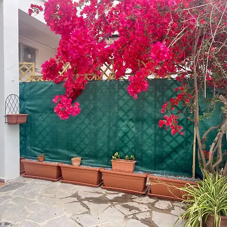Le Calle Homes Olbia