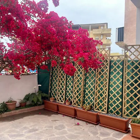 Le Calle Homes Olbia