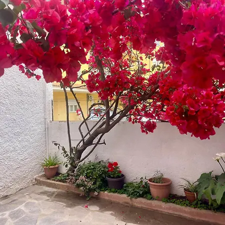 Le Calle Homes * أولبيا